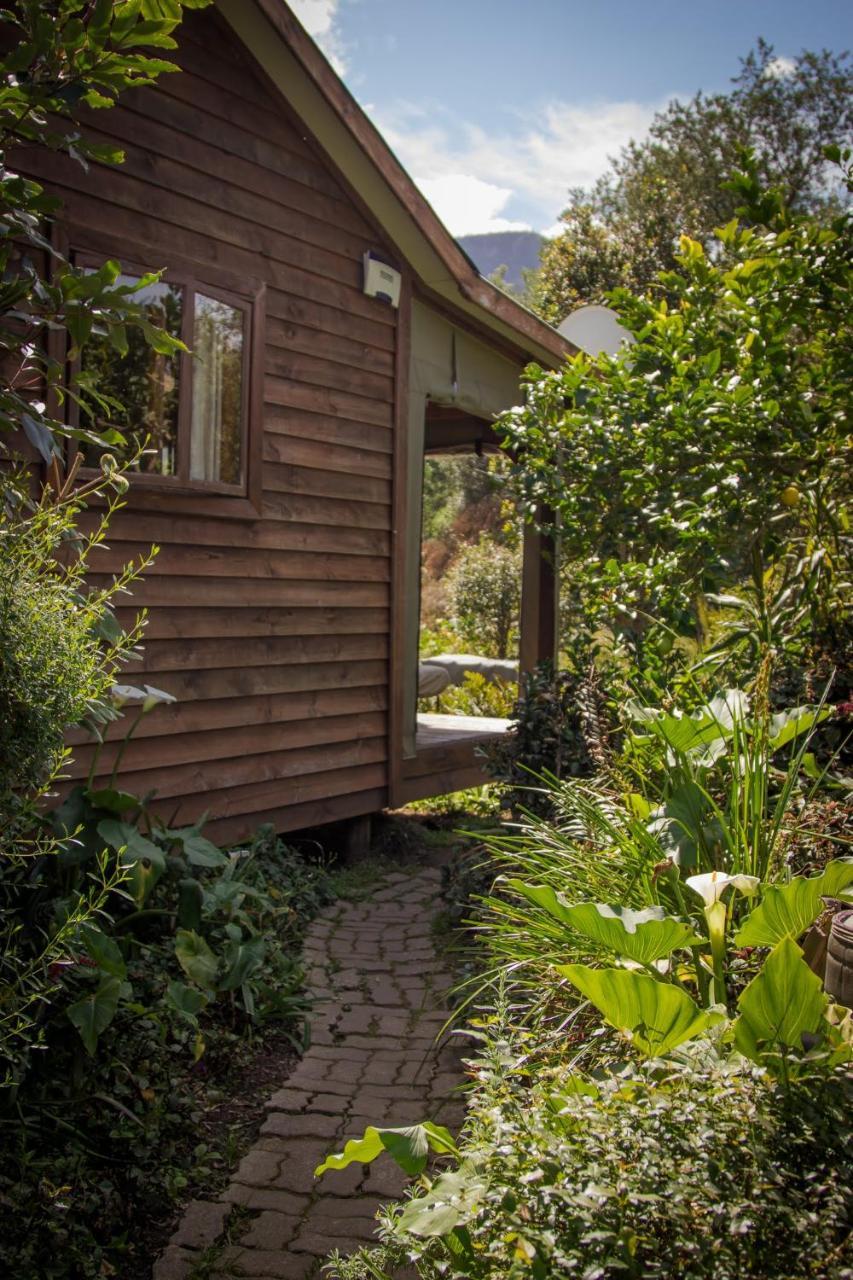 Pear Tree Cottage Stormsrivier Kültér fotó