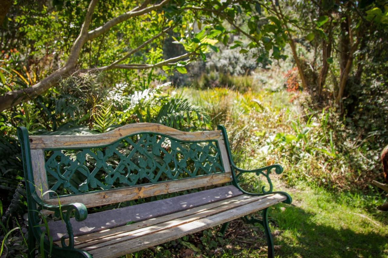 Pear Tree Cottage Stormsrivier Kültér fotó
